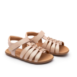 fern candy dream ttj